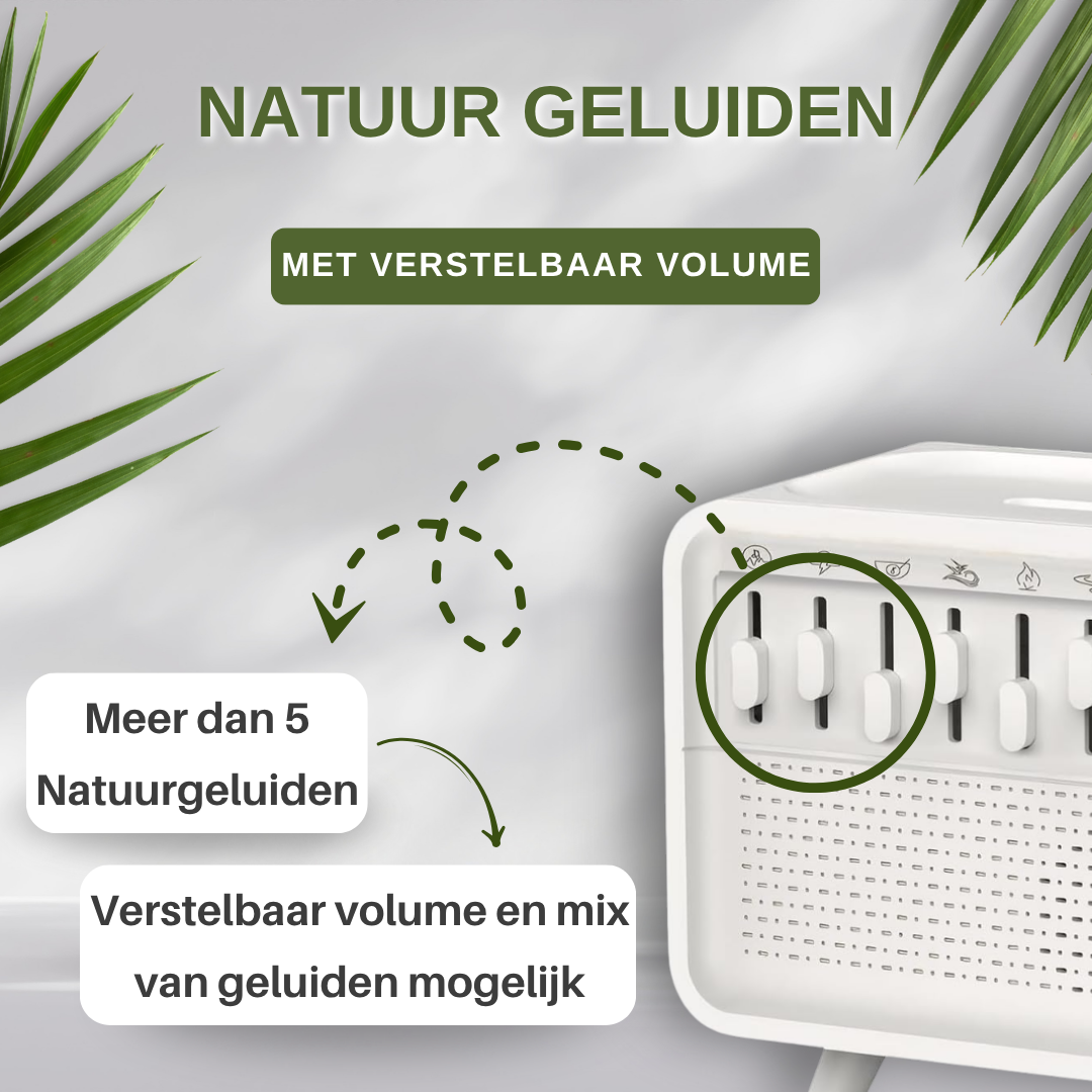 Zenn Difusser 3-in-1
